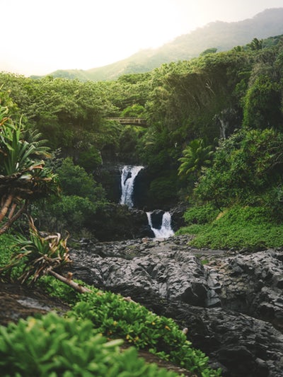 Waterfall in Hawaii, My homebirth and eating raw placenta